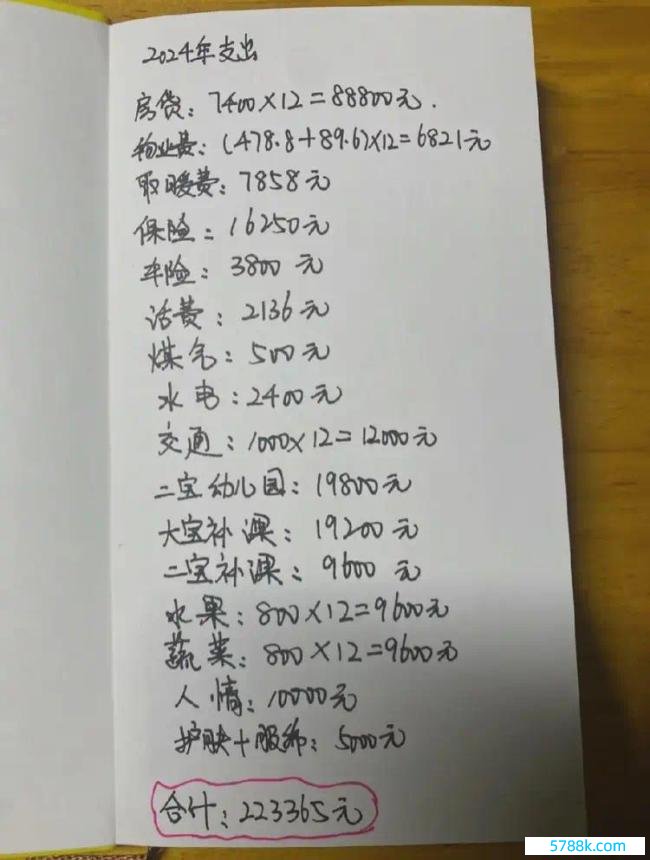 二胎佳偶2024年开销预算超22万 看到各项明细后，我千里默了！