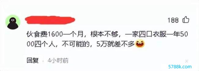 二胎佳偶2024年开销预算超22万 看到各项明细后，我千里默了！