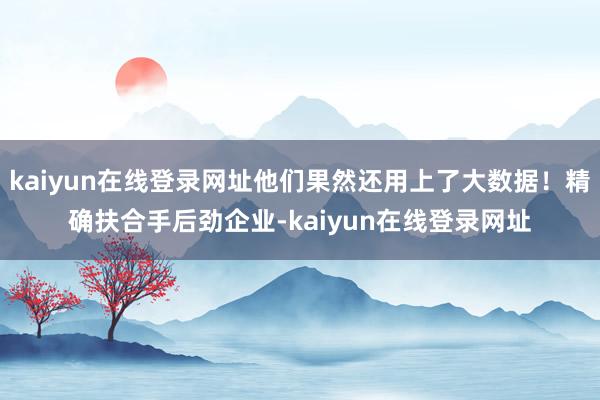 kaiyun在线登录网址他们果然还用上了大数据！精确扶合手后劲企业-kaiyun在线登录网址